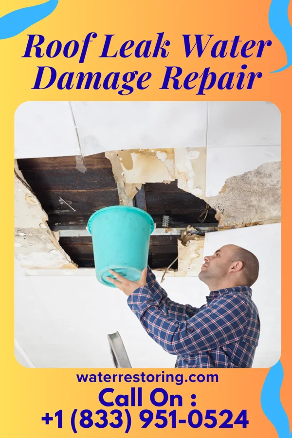 Roof Leak Water Damage Repair in Floyd, AR